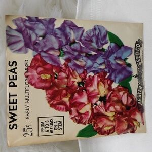 Vintage Lone Star Seed Co. Flower Packet